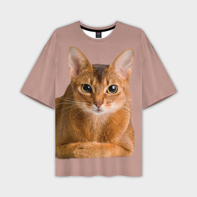 Мужская футболка oversize 3D с принтом Абиссинская кошка рыжая в Санкт-Петербурге,  |  | 
