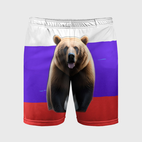 Мужские шорты спортивные с принтом Медведь на флаге в Кировске,  |  | 