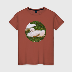 Женская футболка хлопок с принтом Малый лебедь , 100% хлопок | прямой крой, круглый вырез горловины, длина до линии бедер, слегка спущенное плечо | 