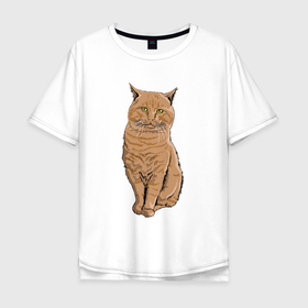 Мужская футболка хлопок Oversize с принтом Котик отдыхает в Курске, 100% хлопок | свободный крой, круглый ворот, “спинка” длиннее передней части | 