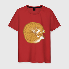 Мужская футболка хлопок с принтом Рыжий котик спит в Санкт-Петербурге, 100% хлопок | прямой крой, круглый вырез горловины, длина до линии бедер, слегка спущенное плечо. | 