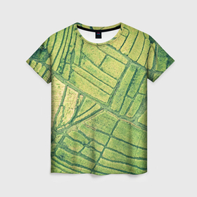 Женская футболка 3D с принтом Травяной лабиринт в Петрозаводске, 100% полиэфир ( синтетическое хлопкоподобное полотно) | прямой крой, круглый вырез горловины, длина до линии бедер | 