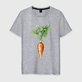 Мужская футболка хлопок с принтом Морковка   лучший подарок. в Белгороде, 100% хлопок | прямой крой, круглый вырез горловины, длина до линии бедер, слегка спущенное плечо. | 