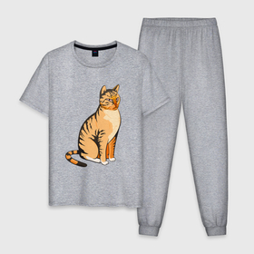 Мужская пижама хлопок с принтом Очень сердитый кот в Кировске, 100% хлопок | брюки и футболка прямого кроя, без карманов, на брюках мягкая резинка на поясе и по низу штанин
 | 