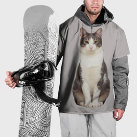 Накидка на куртку 3D с принтом Кошка муся в Белгороде, 100% полиэстер |  | 