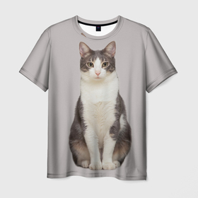Мужская футболка 3D с принтом Кошка муся в Петрозаводске, 100% полиэфир | прямой крой, круглый вырез горловины, длина до линии бедер | 