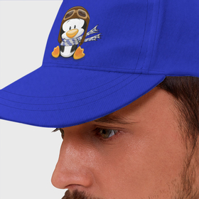 Бейсболка с принтом пингвин в шапке лётчика в Курске, 100% хлопок | классический козырек, металлическая застежка-регулятор размера | 