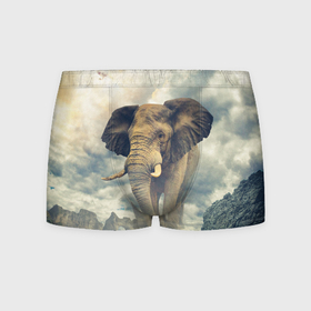 Мужские трусы 3D с принтом Гигантский слон в Курске, 50% хлопок, 50% полиэстер | классическая посадка, на поясе мягкая тканевая резинка | Тематика изображения на принте: 