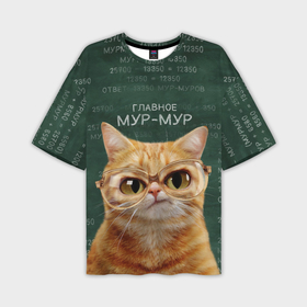 Мужская футболка oversize 3D с принтом Рыжий кот в очках в Санкт-Петербурге,  |  | 