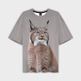 Мужская футболка oversize 3D с принтом Рысь дикая кошка ,  |  | 