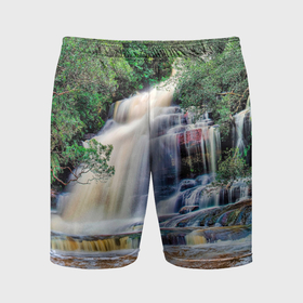 Мужские шорты спортивные с принтом Мощный водопад в Тюмени,  |  | 