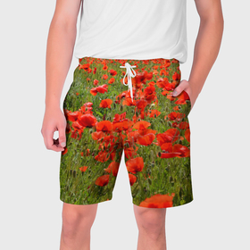 Мужские шорты 3D с принтом Маки красные в Екатеринбурге,  полиэстер 100% | прямой крой, два кармана без застежек по бокам. Мягкая трикотажная резинка на поясе, внутри которой широкие завязки. Длина чуть выше колен | Тематика изображения на принте: 