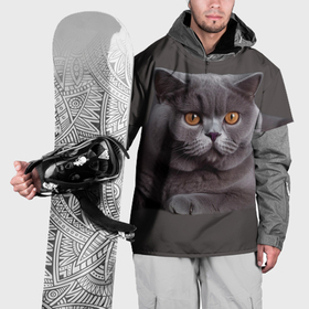 Накидка на куртку 3D с принтом Британская кошка порода , 100% полиэстер |  | 