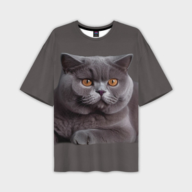 Мужская футболка oversize 3D с принтом Британская кошка порода ,  |  | 
