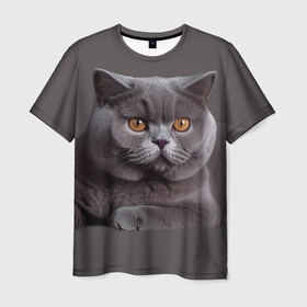 Мужская футболка 3D с принтом Британская кошка порода , 100% полиэфир | прямой крой, круглый вырез горловины, длина до линии бедер | 