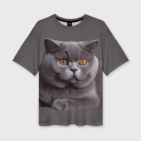 Женская футболка oversize 3D с принтом Британская кошка порода в Тюмени,  |  | 