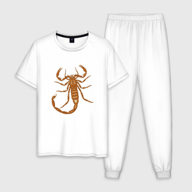 Мужская пижама хлопок с принтом Скорпион коричневых тонов , 100% хлопок | брюки и футболка прямого кроя, без карманов, на брюках мягкая резинка на поясе и по низу штанин
 | 