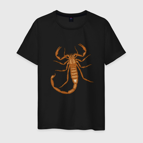 Мужская футболка хлопок с принтом Скорпион коричневых тонов в Екатеринбурге, 100% хлопок | прямой крой, круглый вырез горловины, длина до линии бедер, слегка спущенное плечо. | 