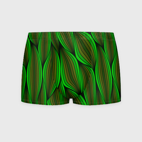 Мужские трусы 3D с принтом Зелёные листовые линии в Санкт-Петербурге, 50% хлопок, 50% полиэстер | классическая посадка, на поясе мягкая тканевая резинка | 