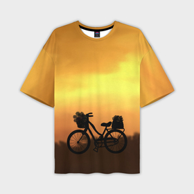 Мужская футболка oversize 3D с принтом Велосипед на закате в Петрозаводске,  |  | 