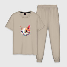 Мужская пижама хлопок с принтом Космический кот Гетон в Екатеринбурге, 100% хлопок | брюки и футболка прямого кроя, без карманов, на брюках мягкая резинка на поясе и по низу штанин
 | 