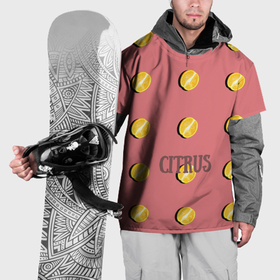 Накидка на куртку 3D с принтом Половинки Citrus в Кировске, 100% полиэстер |  | 
