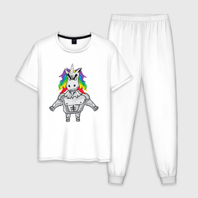 Мужская пижама хлопок с принтом Самый злой единорог в Екатеринбурге, 100% хлопок | брюки и футболка прямого кроя, без карманов, на брюках мягкая резинка на поясе и по низу штанин
 | 