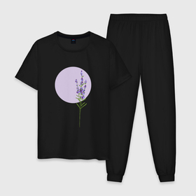 Мужская пижама хлопок с принтом Веточки лаванды на фоне сиреневой луны в Курске, 100% хлопок | брюки и футболка прямого кроя, без карманов, на брюках мягкая резинка на поясе и по низу штанин
 | 