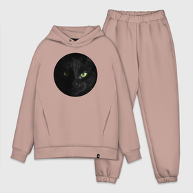 Мужской костюм oversize хлопок с принтом Строгий чёрный кот в Ухте,  |  | Тематика изображения на принте: 
