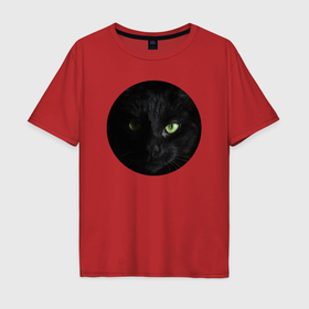 Мужская футболка хлопок Oversize с принтом Строгий чёрный кот в Петрозаводске, 100% хлопок | свободный крой, круглый ворот, “спинка” длиннее передней части | Тематика изображения на принте: 
