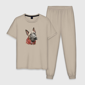 Мужская пижама хлопок с принтом Тайский риджбек портрет в Екатеринбурге, 100% хлопок | брюки и футболка прямого кроя, без карманов, на брюках мягкая резинка на поясе и по низу штанин
 | 