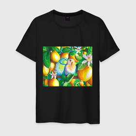 Мужская футболка хлопок с принтом Попугаи в лимонах в Санкт-Петербурге, 100% хлопок | прямой крой, круглый вырез горловины, длина до линии бедер, слегка спущенное плечо. | 