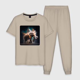 Мужская пижама хлопок с принтом Магический слон , 100% хлопок | брюки и футболка прямого кроя, без карманов, на брюках мягкая резинка на поясе и по низу штанин
 | 