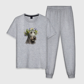Мужская пижама хлопок с принтом Весна в душе: ирландский волкодав в Кировске, 100% хлопок | брюки и футболка прямого кроя, без карманов, на брюках мягкая резинка на поясе и по низу штанин
 | 