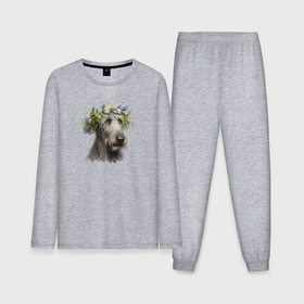 Мужская пижама с лонгсливом хлопок с принтом Весна в душе: ирландский волкодав ,  |  | Тематика изображения на принте: 