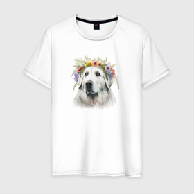 Мужская футболка хлопок с принтом Весна в душе: пиренейская горная собака в Санкт-Петербурге, 100% хлопок | прямой крой, круглый вырез горловины, длина до линии бедер, слегка спущенное плечо. | Тематика изображения на принте: 