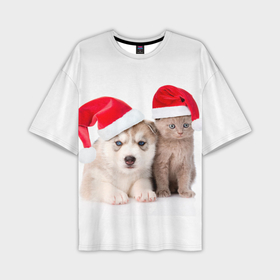 Мужская футболка oversize 3D с принтом Пёсик и котик в шапочках в Новосибирске,  |  | 