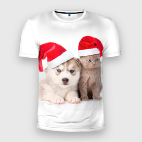 Мужская футболка 3D Slim с принтом Пёсик и котик в шапочках в Новосибирске, 100% полиэстер с улучшенными характеристиками | приталенный силуэт, круглая горловина, широкие плечи, сужается к линии бедра | 