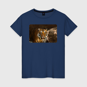Женская футболка хлопок с принтом Красивейший тигр в Курске, 100% хлопок | прямой крой, круглый вырез горловины, длина до линии бедер, слегка спущенное плечо | 