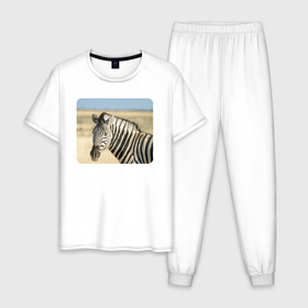 Мужская пижама хлопок с принтом Зебра оглядывается в Белгороде, 100% хлопок | брюки и футболка прямого кроя, без карманов, на брюках мягкая резинка на поясе и по низу штанин
 | 