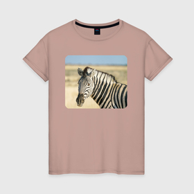 Женская футболка хлопок с принтом Зебра оглядывается в Белгороде, 100% хлопок | прямой крой, круглый вырез горловины, длина до линии бедер, слегка спущенное плечо | 