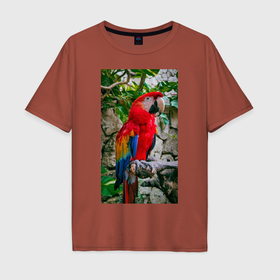 Мужская футболка хлопок Oversize с принтом Попугай во всей красе в Курске, 100% хлопок | свободный крой, круглый ворот, “спинка” длиннее передней части | 