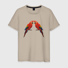 Мужская футболка хлопок с принтом Пара красных попугаев в Новосибирске, 100% хлопок | прямой крой, круглый вырез горловины, длина до линии бедер, слегка спущенное плечо. | 