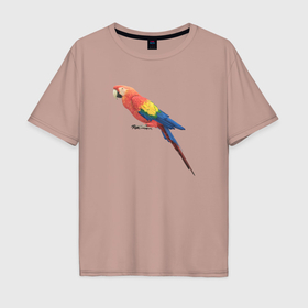 Мужская футболка хлопок Oversize с принтом Одинокий сине красный попугай в Курске, 100% хлопок | свободный крой, круглый ворот, “спинка” длиннее передней части | 