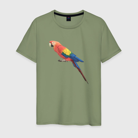 Мужская футболка хлопок с принтом Одинокий сине красный попугай в Курске, 100% хлопок | прямой крой, круглый вырез горловины, длина до линии бедер, слегка спущенное плечо. | 