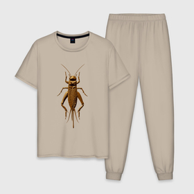 Мужская пижама хлопок с принтом Сверчок авторский в Курске, 100% хлопок | брюки и футболка прямого кроя, без карманов, на брюках мягкая резинка на поясе и по низу штанин
 | 