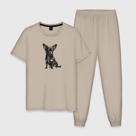 Мужская пижама хлопок с принтом Чихуахуа черный триколор в Кировске, 100% хлопок | брюки и футболка прямого кроя, без карманов, на брюках мягкая резинка на поясе и по низу штанин
 | 
