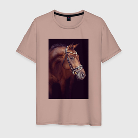 Мужская футболка хлопок с принтом Лошадь во всей красе в Белгороде, 100% хлопок | прямой крой, круглый вырез горловины, длина до линии бедер, слегка спущенное плечо. | 