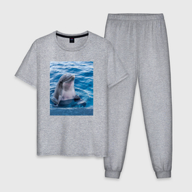 Мужская пижама хлопок с принтом Дельфин приветливый в Санкт-Петербурге, 100% хлопок | брюки и футболка прямого кроя, без карманов, на брюках мягкая резинка на поясе и по низу штанин
 | Тематика изображения на принте: 