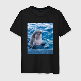 Мужская футболка хлопок с принтом Дельфин приветливый в Петрозаводске, 100% хлопок | прямой крой, круглый вырез горловины, длина до линии бедер, слегка спущенное плечо. | Тематика изображения на принте: 